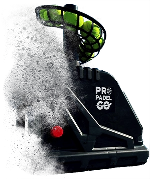 Descripción de la imagen